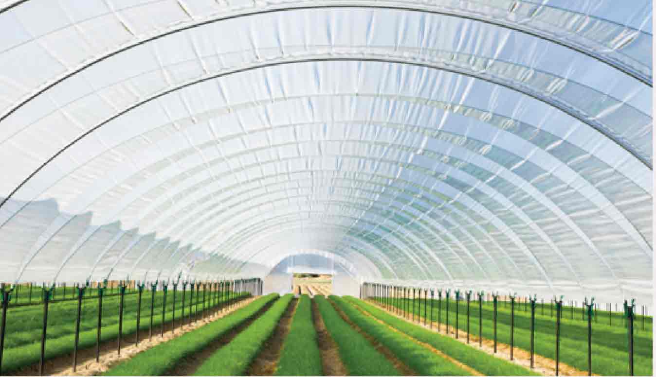 Green House made from Films of Soltex Petro Masterbatch